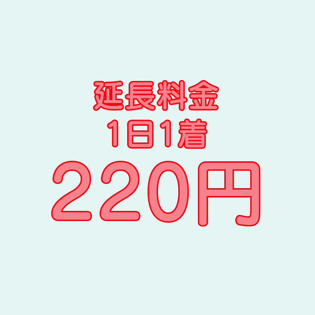 延長料金(1日延長、1-10着)